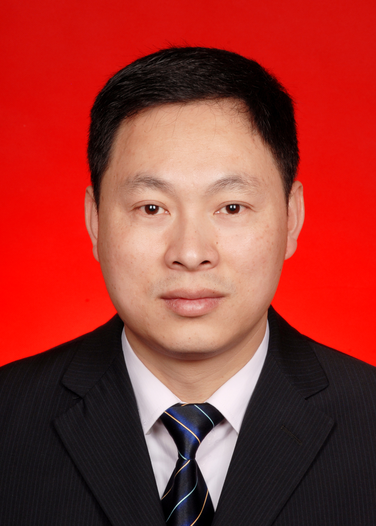 叶 飚（常务副会长）
