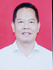 金成伟（常务副会长）