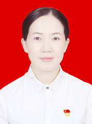 陈玲华（副会长）