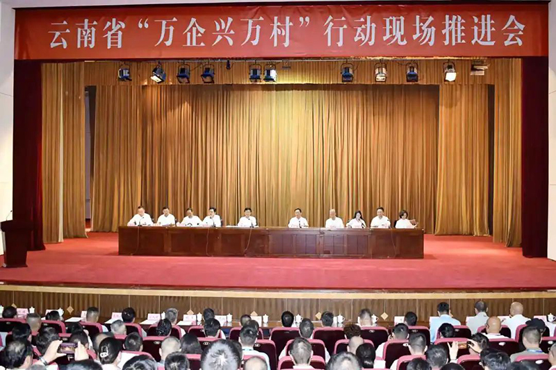 王国新会长出席云南省“万企兴万村”行动现场推进...